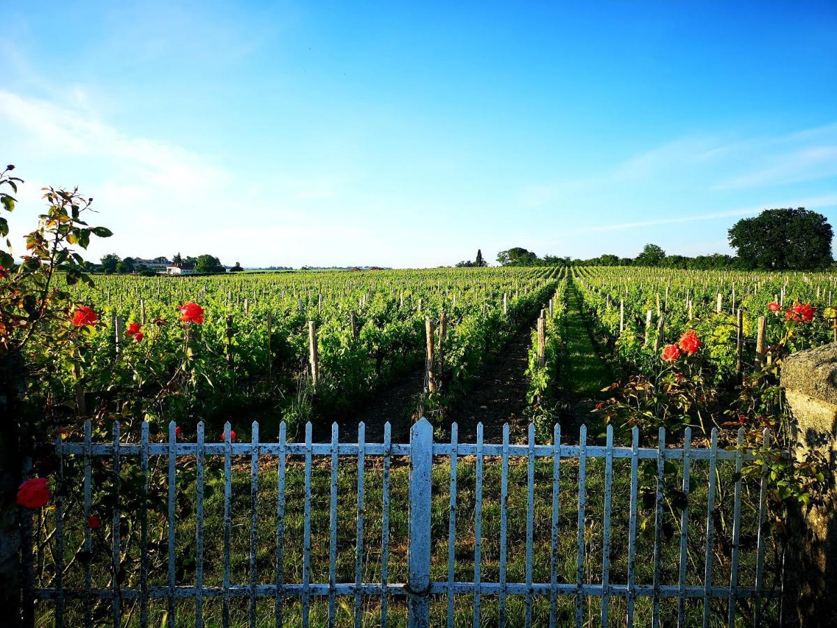 La Maison Des Vignes Saint Emilion Apartamento Exterior foto